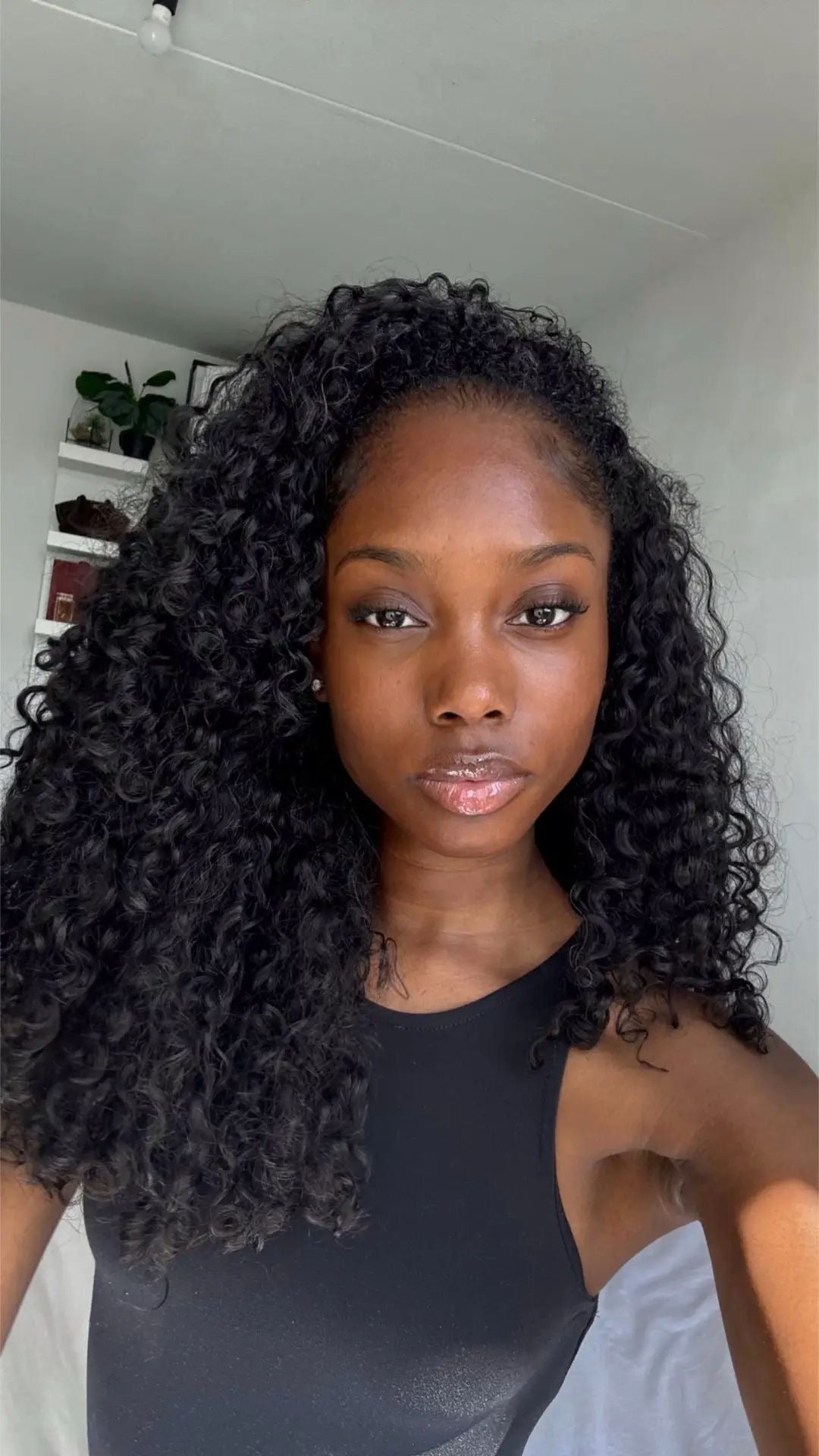 Burmese Spanish Curly